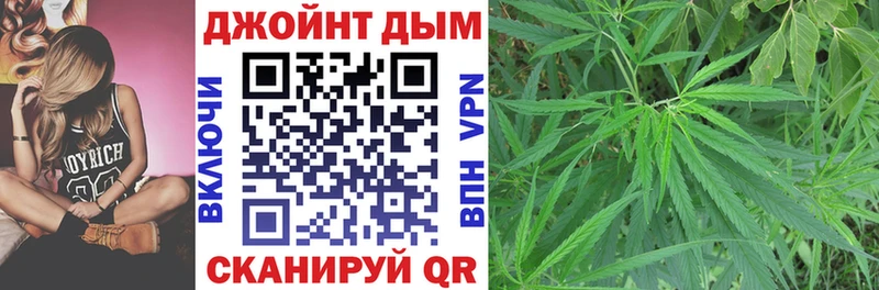где можно купить   Приволжск  Канабис индика 